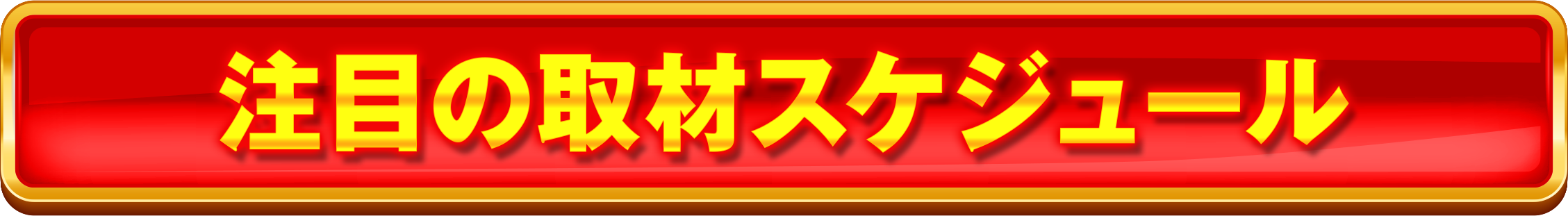 注目のスケジュール